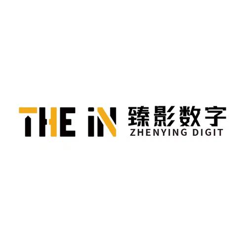 湖南臻影数字科技 匠心铸就信息系统集成的智慧桥梁